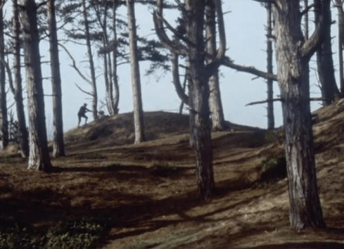 A screenshot of A Warning to the Curious: a tiny figure digging in a forest, surrounded by spooky shadows from the trees